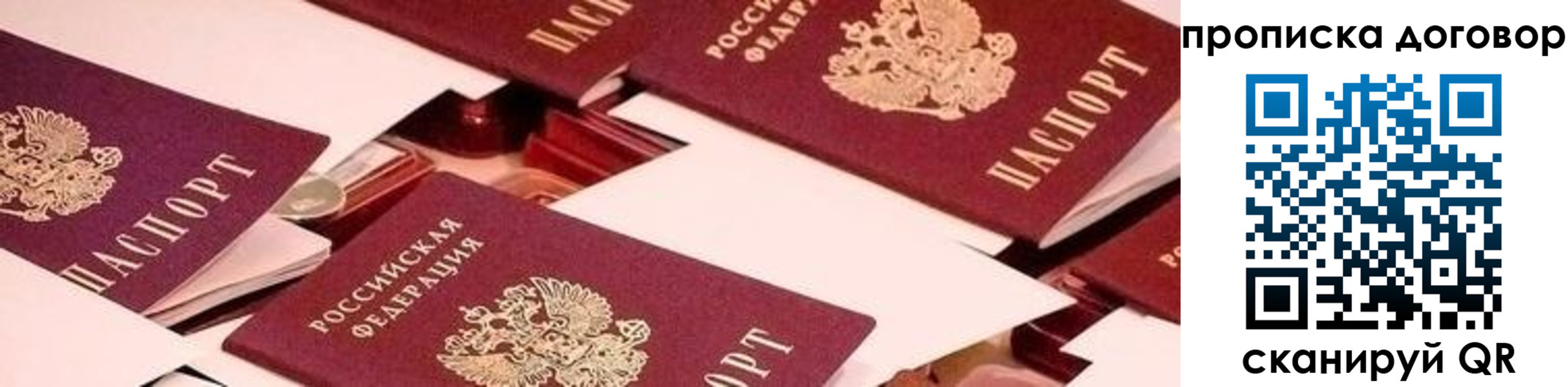 прописка для школы в Далматово